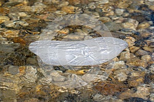 Ice air bubbles stagnated in frozen cold frozen water