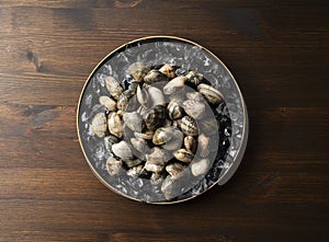 Ice and asari clams in a plate on a wooden background