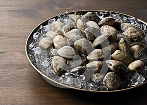 Ice and asari clams in a plate on a wooden background