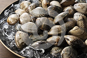 Ice and asari clams in a plate on a wooden background