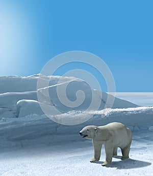 Ice Bear Hunting Polar Arctic Region