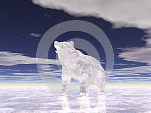 Ice Bear Two