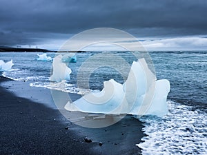 Ice on the black sand on the Icelandic beach. Ocean bay and icebergs. Landscapes in Iceland.