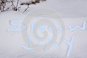 Ice Blue SNOW DAY fingerpainted in snow announce school closing