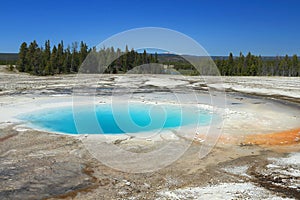 Opal Spring, Midway Geyser Basin, Yellowstone National Park, Wyoming, USA photo