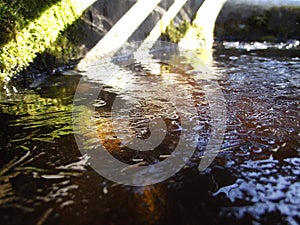 Ice bound water, covered with a reservoir of patterns photo