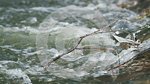 Ice on a branch above the spring stream of melt water.