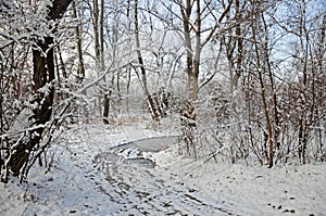 Ice bridge in winter forest