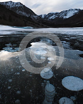 Ice bubbles rise from methane released from the ground