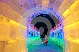 The ice carving and visits in the park nightscape