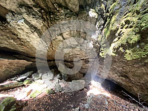 Ice cave in the forest park Golubinjak, Sleme - Gorski kotar, Croatia / Ledena spilja u park ÃÂ¡umi Golubinjak, Sleme photo