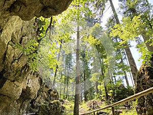 Ice cave in the forest park Golubinjak, Sleme - Gorski kotar, Croatia / Ledena spilja u park ÃÂ¡umi Golubinjak, Sleme photo