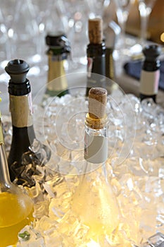 Ice champagne bottles on the counter in a hotel