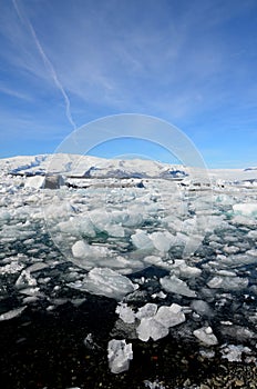 Ice Chunks in an Ice Field in Southern Iceland