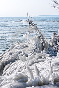 ice coated branches along Lake Michigan shore in extreme sub zero temperatures