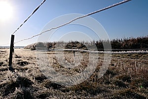 Ice coated wire fence in a farm field