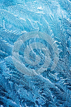 The ice-cold frost forms ice crystals in beautiful unique patterns