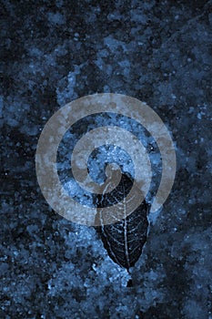 Ice cold leaf
