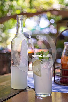 Ice cold lemonade served with mint leaves
