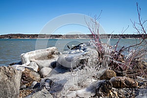 ice coverd rocks and plants on the shore