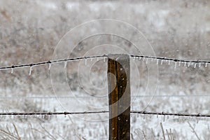 Ice covered barb wire fence and wooden post