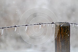 Ice covered barb wire fence and wooden post