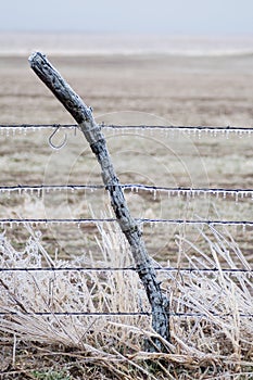 Ice covered fence post and wire