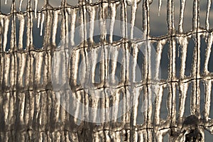 ice covered fence at sunset