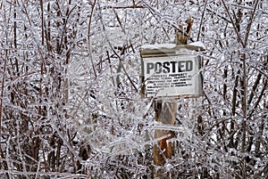 Ice covered posted sign photo