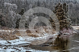 Ice Covered Trees After Freezing Rain In Canada Wilderness