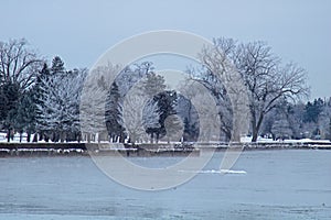 Ice Covered Trees Line The Shore Of Lake Erie