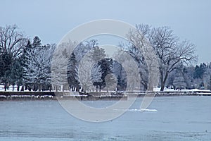 Ice Covered Trees Line The Shore Of Lake Erie photo