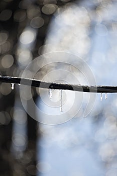 Ice Covering a Powerline