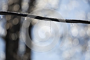 Ice Covering a Powerline