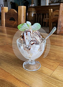 Ice cream in bowl with chocolate topping and mint leaves