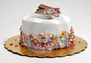 Ice Cream Cake