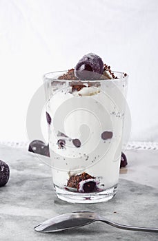 Ice cream with cherry berries on  marble countertop background