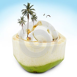 Ice-cream in coconut