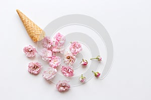 Ice Cream Cone with Bouquet of roses. Spring Summer Floral concept. Creative Minimal. Pink Blossom, white Color. Trendy