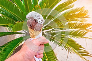 Ice cream cone held in his hand on a hot summer day on the background of a lush green palm