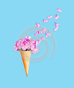 Ice cream cone with petals flowers over blue background