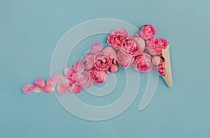 Ice cream cone with pink roses on blue background