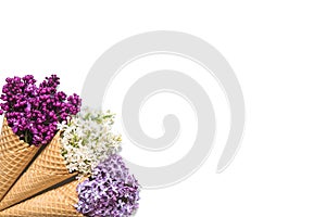 Ice cream cones with colorful lilac flowers isolated on white background. top view