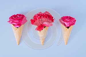 Ice Cream Cones with pink peony and roses on blue background, flat lay