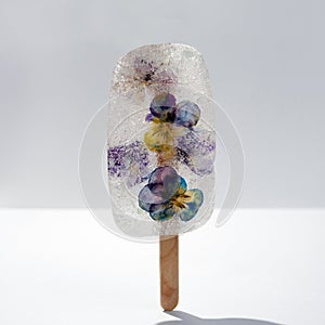 Ice cream with dry fkowers. Transparent popsicle, frozen ice.