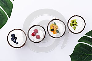 Ice cream with fruit fillers, yogurt in coconut bowls on white background