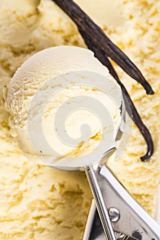 Ice cream: Ice scoop in vanilla ice cream with vanilla bean