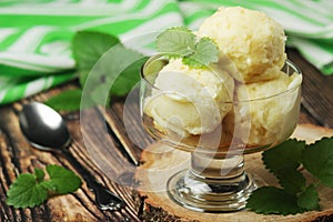 Ice cream scoops in an ice cream bowl