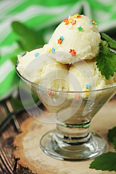 Ice cream scoops in an ice cream bowl