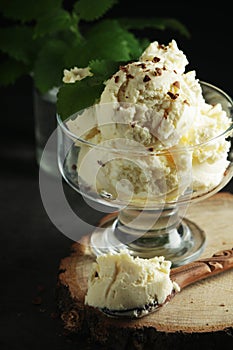 Ice cream scoops in an ice cream bowl